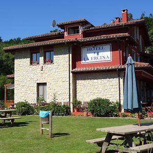 Hotel La Ercina